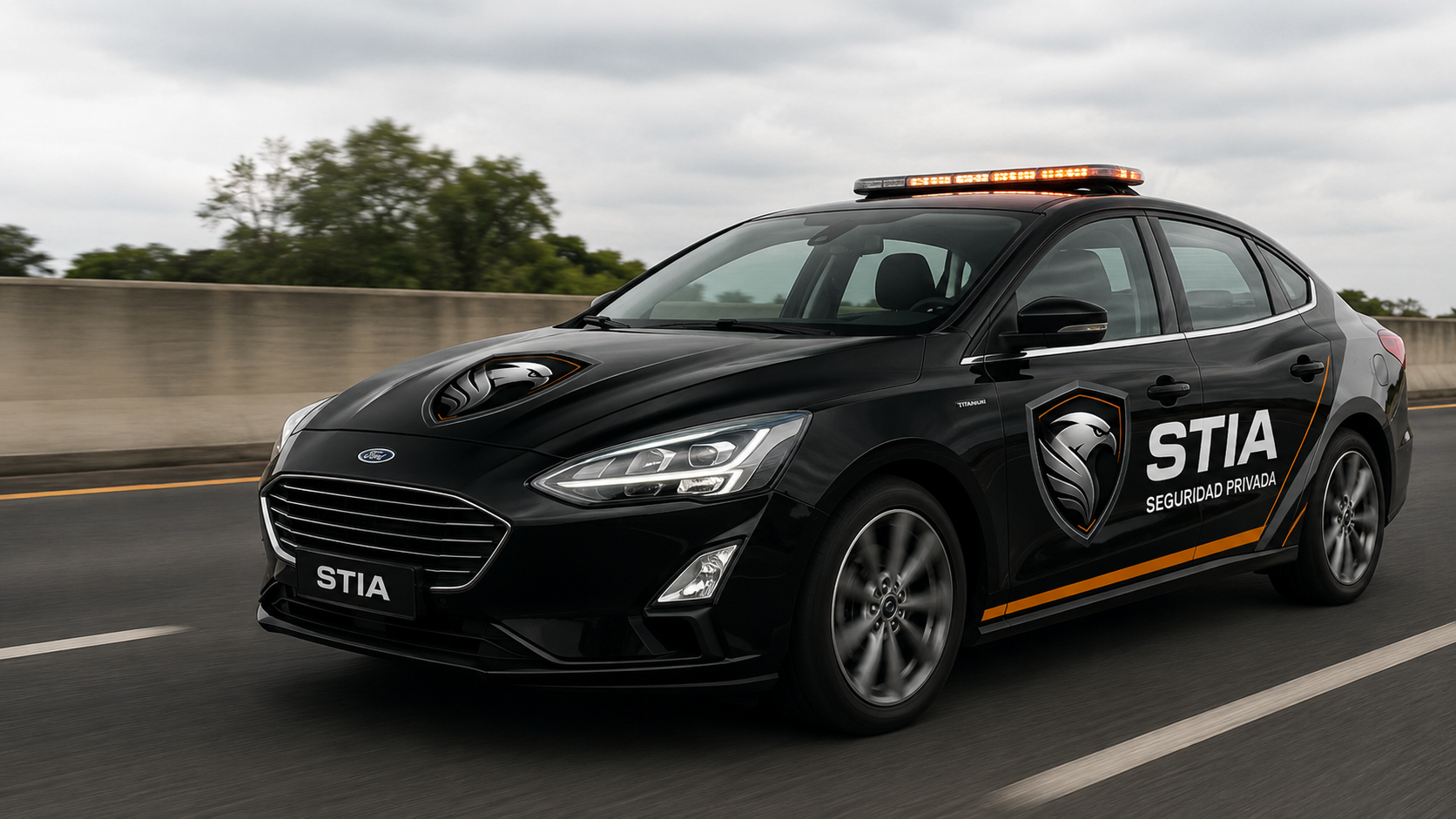Seguridad Privada en el Estado de México